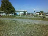 Imagine atasata: zrenjanin 08.JPG